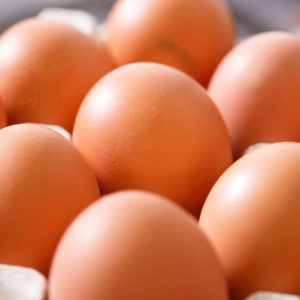 48040512_s 48040512 - raw and fresh, labeled organic chicken eggs packed in neat egg holders, ready to be transported and sold to consumers. agribusiness, food production, organic farming concept.