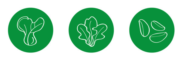 icon01-02 icon01-02