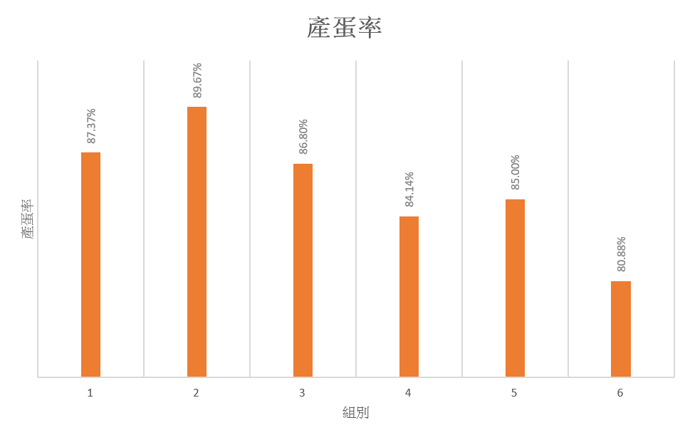 圖片15