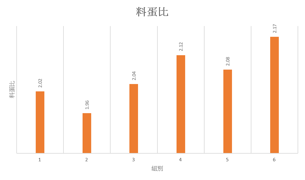 圖片17