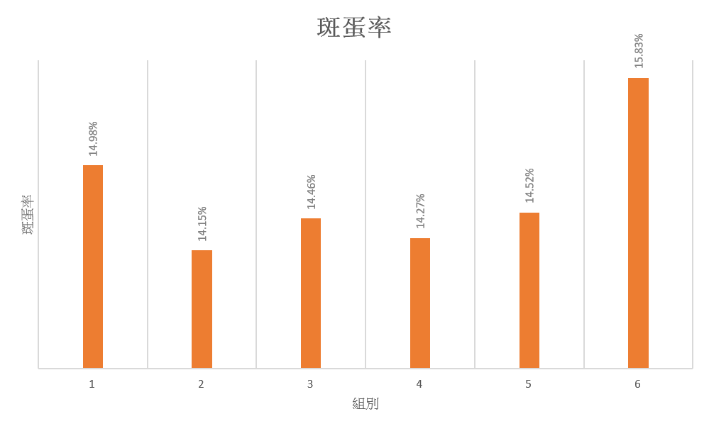 圖片19