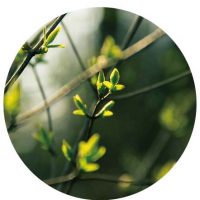 關於品牌-10 關於品牌-10