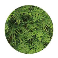 關於品牌-13 關於品牌-13