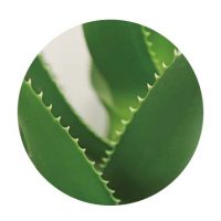 關於品牌-14 關於品牌-14